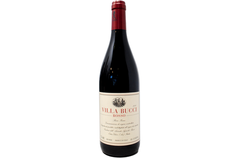 PICENO ROSSO DOC 2020 - VILLA BUCCI