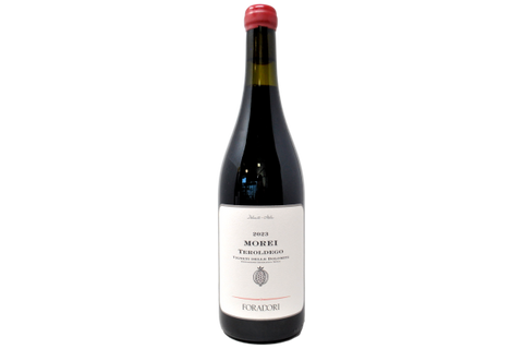 VIGNETI DELLE DOLOMITI IGT TEROLDEGO "MOREI" 2023 - FORADORI