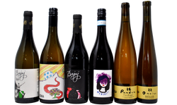 ANFORE, RADICI E VISIONI - LA TASTING BOX DEL ROERO - 6 BOTTIGLIE