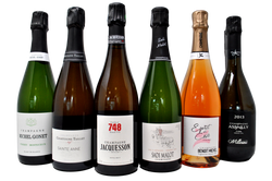 BEST OF CHAMPAGNE - TASTING BOX - 5 BOTTIGLIE + JACQUESSON IN REGALO