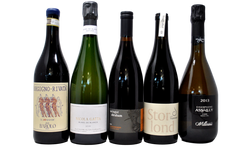 ULTIMA CHIAMATA DI AGOSTO: FLASH TASTING BOX - OGNI 5 BOX, DALLA PRIMA, UN SASSICAIA 2022 IN REGALO