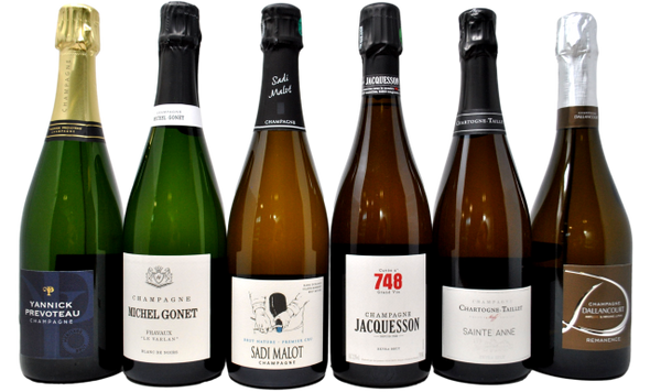 CHAMPAGNE TASTING BOX - 5 BOTTIGLIE + JACQUESSON 748 IN REGALO