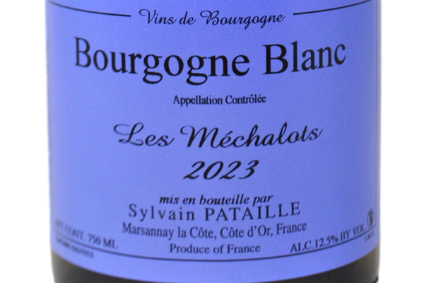 BOURGOGNE BLANC "LES MÉCHALOTS" 2023 - SYLVAIN PATAILLE