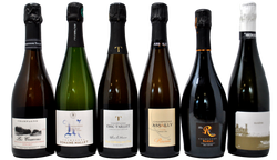 CHAMPAGNE TASTING BOX - 5 BOTTIGLIE + CHARTOGNE TAILLET IN OMAGGIO