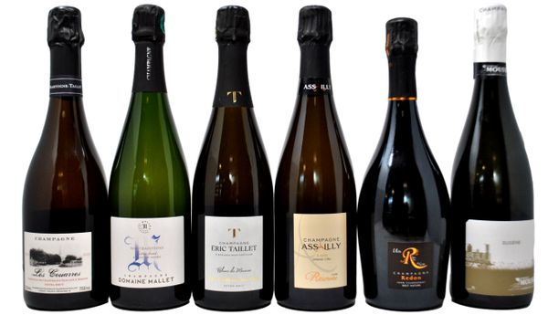 CHAMPAGNE TASTING BOX - 5 BOTTIGLIE + CHARTOGNE TAILLET IN OMAGGIO