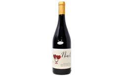 NEBBIOLO "NINÉT" 2023 - BERA VITTORIO E FIGLI