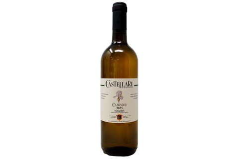 TOSCANA BIANCO IGT "CANONICO" 2025 - CASTELLARE DI CASTELLINA