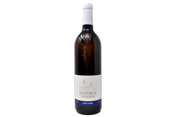 SUDTIROL DOC SAUVIGNON 2024 - MURI-GRIES