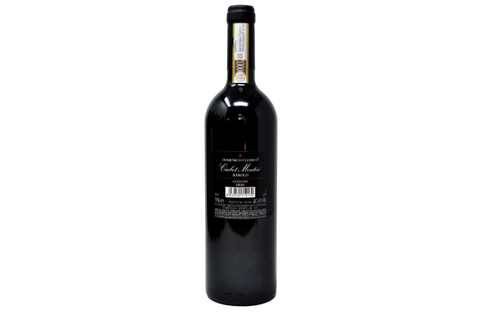 BAROLO DOCG GINESTRA "CIABOT MENTIN" 2020 - DOMENICO CLERICO