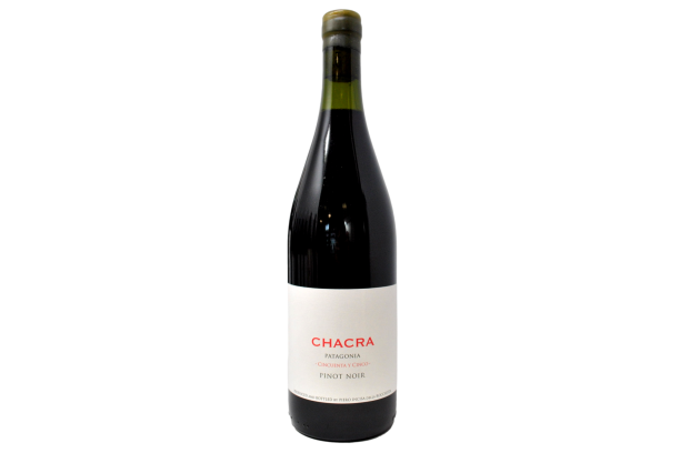 PINOT NOIR "CINCUENTA Y CINCO" 2023 - BODEGA CHACRA
