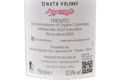 TRENTO DOC RESERVE EXTRA BRUT BLANC DE NOIRS "DISIO" 2017 - ESPAGNOL