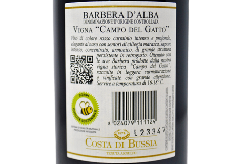 BARBERA D'ALBA DOC "VIGNA CAMPO DEL GATTO" 2022 - COSTA DI BUSSIA - TENUTA ARNULFO
