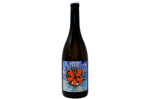 MUSCADET SEVRE ET MAINE SUR LIE 2021 - REGIS &amp; SYLVAIN