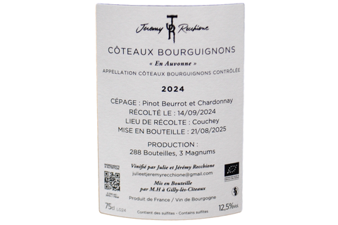 COTEAUX BOURGUIGNON BLANC BIO "EN AUVONNE" 2024 (288 BOTTIGLIE PRODOTTE) - JÉRÉMY RECCHIONE