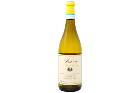 VERDICCHIO DEI CASTELLI DI JESI CLASSICO SUPERIORE DOC 2024 - VILLA BUCCI