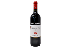 DOLCETTO D'ALBA DOC 2024 - PIO CESARE