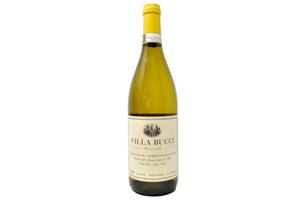 VERDICCHIO DEI CASTELLI DI JESI CLASSICO RISERVA DOCG 2020 - VILLA BUCCI