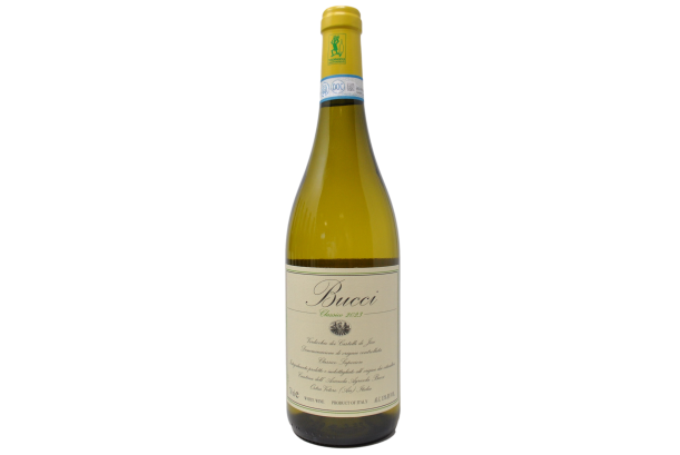 VERDICCHIO DEI CASTELLI DI JESI CLASSICO SUPERIORE DOC 2023 - VILLA BUCCI
