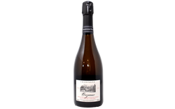 CHAMPAGNE EXTRA BRUT BLANC DE NOIRS "ORIZEAUX" VIEILLES VIGNES 2020 - CHARTOGNE TAILLET