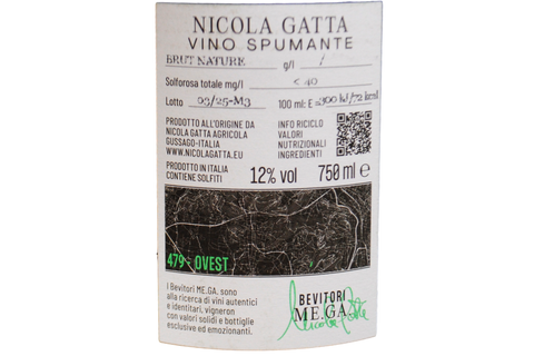 VINO SPUMANTE BLANC DE NOIRS NATURE "CRU 479 - CAMPIANI OVEST" 50 LUNE  - NICOLA GATTA