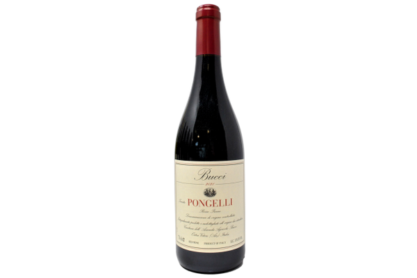 PICENO ROSSO DOC "TENUTA PONGELLI" 2021 - VILLA BUCCI