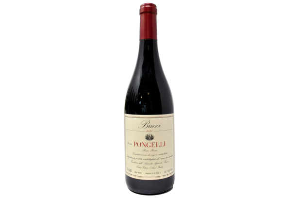 PICENO ROSSO DOC "TENUTA PONGELLI" 2021 - VILLA BUCCI