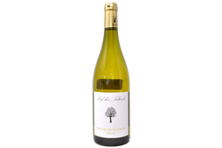 MUSCADET SÈVRE ET MAINE SUR LIE "FIEF DES TILLEUS" 2023 - DOMAINE DES TILLEULS