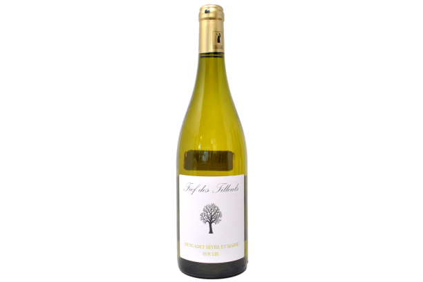 MUSCADET SÈVRE ET MAINE SUR LIE "FIEF DES TILLEUS" 2023 - DOMAINE DES TILLEULS