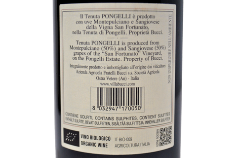 VERDICCHIO DEI CASTELLI DI JESI SUPERIOR CLASSIC DOCG 2018 -VILLA BUCCI