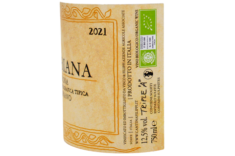 CINQUE TERRE BLANC DOC "ANFORA" 2020 - POSSA