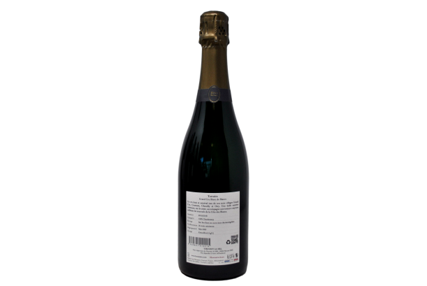 CHAMPAGNE GRAND CRU BLANC DE BLANCS EXTRA BRUT "TERROIRS" - BONNAIRE