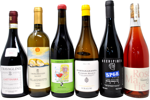 ARTISTI DEL VINO TASTING BOX - 6 BOTTIGLIE