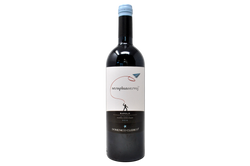 BAROLO DEL COMUNE DI SERRALUNGA D'ALBA DOCG "AEROPLANSERVAJ" 2016 ETICHETTA "BAMBINO AQUILONE" - DOMENICO CLERICO