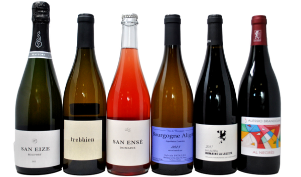 NUOVI ARRIVI, NUOVE EMOZIONI LA TASTING BOX - 6 BOTTIGLIE - PROMO LANCIO