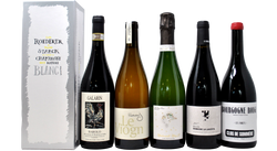 PHILIPPE STARCK SUMMER BOX - 6 BOTTIGLIE