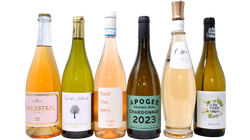 POOLSIDE TASTING BOX - 6 BOTTIGLIE PERFETTE DA BERE A BORDO PISCINA