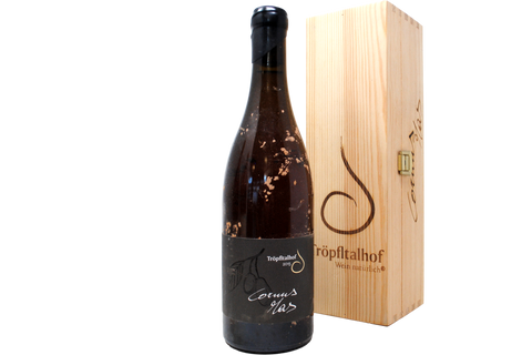 VINO BIANCO SAUVIGNON ANPHORA BIODINAMICO "CORNUS MAS" 2015 - TRÖPFLTALHOF