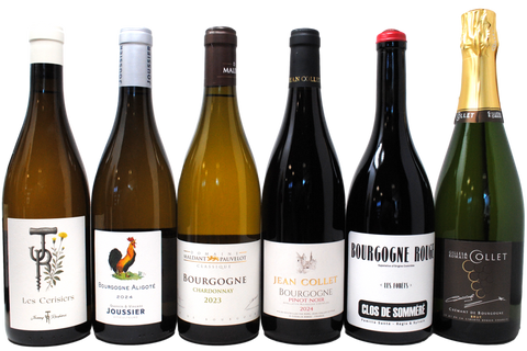 BOURGOGNE TASTING BOX - 5 BOTTIGLIE + ALIGOTÉ DI JÉRÉMY RECCHIONE IN REGALO