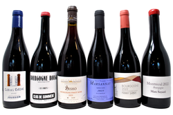 BOURGOGNE PINOT NOIR TASTING BOX - FANNY SABRE IN OMAGGIO