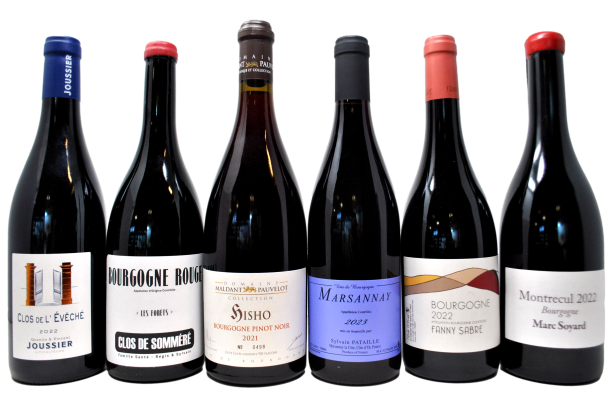 BOURGOGNE PINOT NOIR TASTING BOX - FANNY SABRE IN OMAGGIO