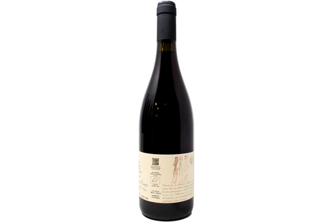 EMILIA LAMBRUSCO ROSATO IGT FRIZZANTE BIO "FUORLEGGERO" 2023 - AZIENDA AGRICOLA CINQUE CAMPI
