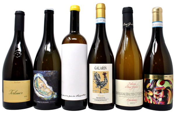 BLACK FRIDAY - BIANCHI A 360 GRADI - 6 BOTTIGLIE + DWNL IN REGALO