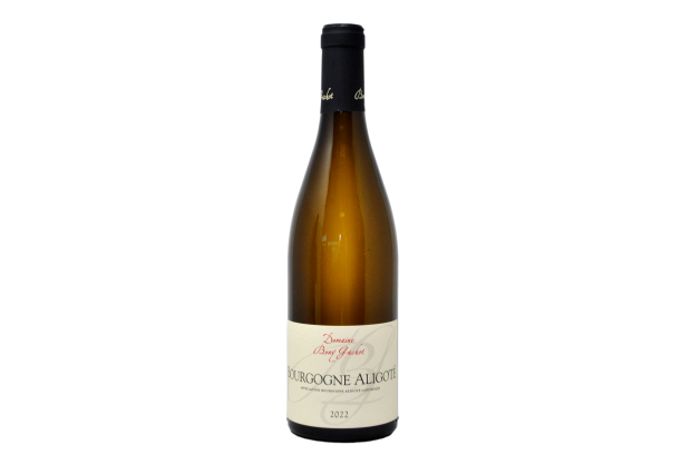 BOURGOGNE ALIGOTE 2022 - DOMAINE BONY GACHOT