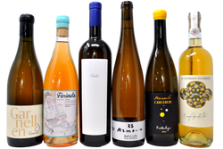 FUORI DAGLI SCHEMI - TASTING BOX BIANCHI