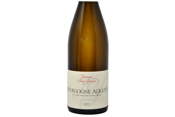 BOURGOGNE ALIGOTE 2022 - DOMAINE BONY GACHOT