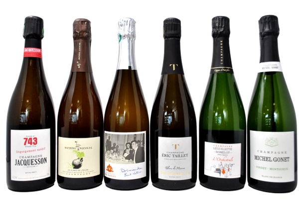 BAROLO 2021 TASTING BOX - 5 BOTTIGLIE + 1 FLACCIANELLO 2021 FONTODI OMAGGIO