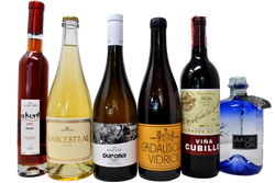 SPAGNA A 360 GRADI TASTING BOX - AKORI GIN IN OMAGGIO