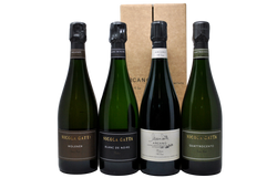 NICOLA GATTA "PRIVATE CELLAR BOX" LIMITED EDITION N 1 - 4 BOTTIGLIE