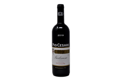 BARBARESCO DOCG 2019 - PIO CESARE