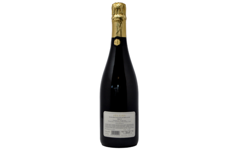 SPUMANTE METODO CLASSICO BRUT - FELSINA